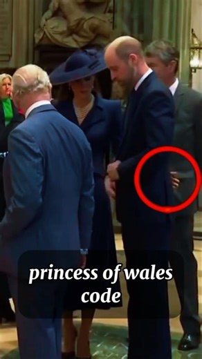 princess of wales code #princesscatherine #catherine #kate