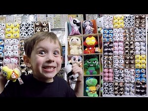 Ty Teeny Tys Full Display Set Up Ty Beanie Boos Dolls Beanie Boo Collection Review Video