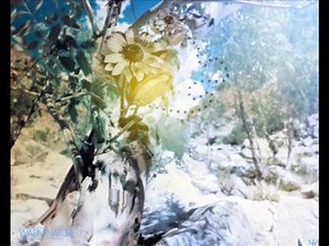 この星に生まれて