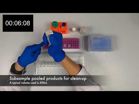 Step 3: Pooling and clean-up of PCR products