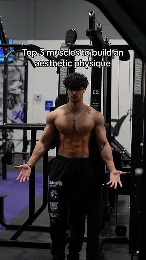 Hussein Farhat | Online Fitness Coach | Top 3 muscles to build an aesthetic physique 🦾 Follow me for more fitness tips & workouts :) 🦍 @gorillamind | code HUSSEIN for 10% off... | Instagram