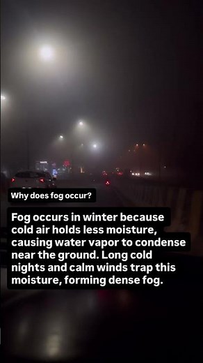 What is the reason of fog? | #trending #biology #facts