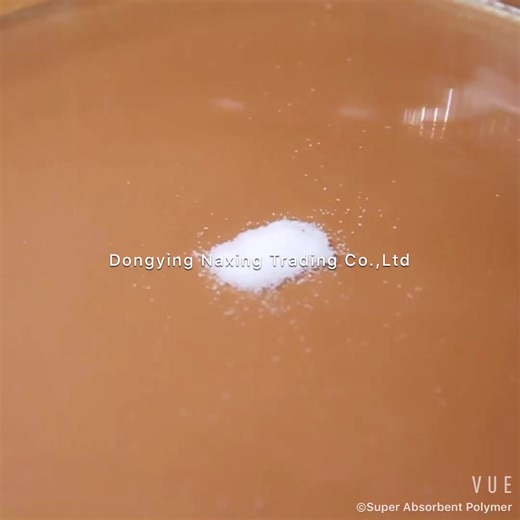 Biodegradable SAP Sodium Polyacrylate Hydrogel Super Absorbent Polymer Powder for Absorbing Water