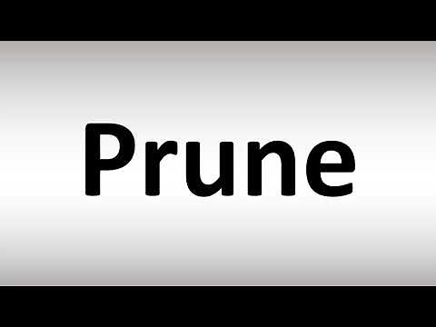 How to Pronounce Prune