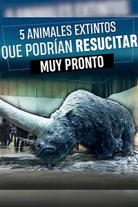 5 animales extintos que ¿Podrían resucitar muy pronto? Fuente: 3 Minutos | Badabun
