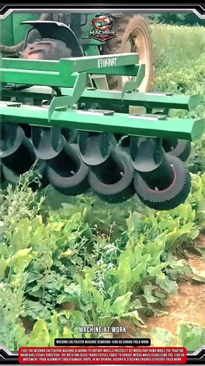Weeding Cultivator machine Removing 1200 kg During Field Work