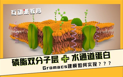 全程演练【GROMACS】生物膜磷脂双分子层、膜蛋白模拟（内含水通道蛋白、多肽、溶剂分子等建模教程）