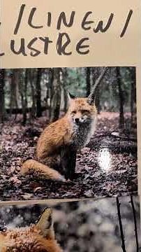 MPix printing options comparison guide