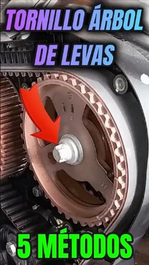 Cómo AFLOJAR y APRETAR el TORNILLO del ÁRBOL de LEVAS ⬆️