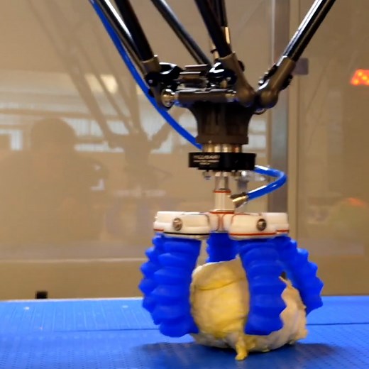 2.5M views · 37K reactions | These soft robots can securely grip objects without damaging them烙 | UNILAD Tech | Facebook