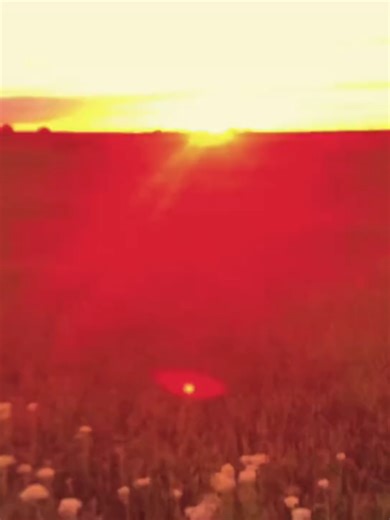 Enjoy Summer Vibes in Stunning 4K at 60fps