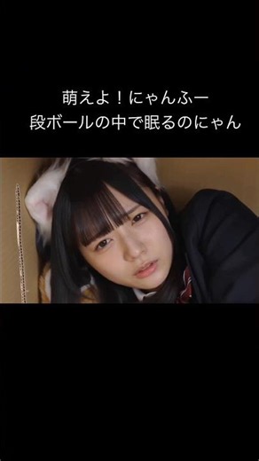 段ボールの中で可愛く眠る猫娘 萌えよ！にゃんふー #capcut生成ai #seedance2
