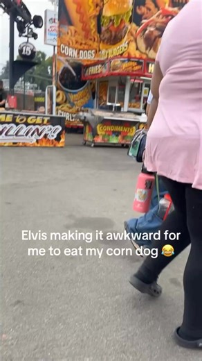 Elvis Presley's Hound Dog Classic Song