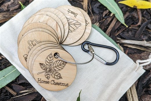 Leaf Identification Discs: UK Tree Leaves, Forest School Gift - Etsy UK