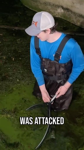 Searching for monsters in an Abandoned Pond... #monster #fish #fishing #abandoned