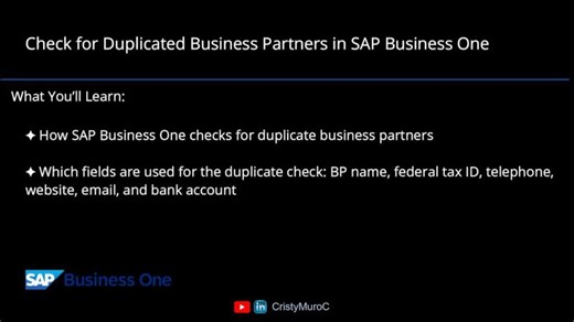 Check for Duplicated Business Partners in SAP Business One | Cristy Muro