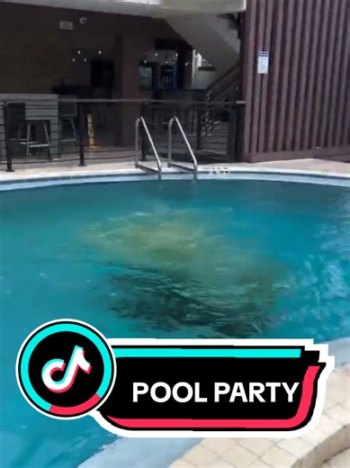 What did he leave in the pool #news #tiktoknews #breakingnews #breakingnews #pool