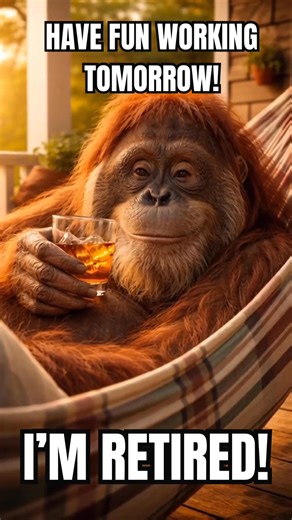 Good luck with work tomorrow, I have other plans, no alarm clock, just relaxing and being retired. #funnyreels #retirement | Good Vibes & Laughs
