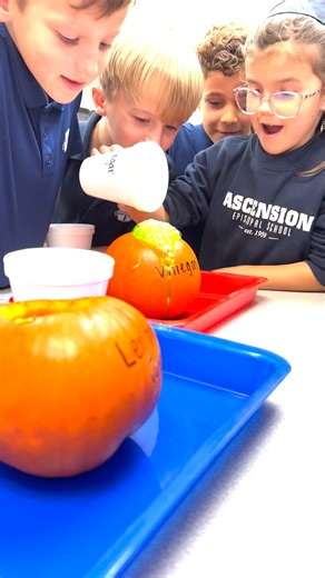 🍁It’s fall, y'all! Bring on the fun pumpkin learning lessons. 🙌 🎃 1st grade used pumpkins as volcanos to learn about making a hypothesis before conducting an experiment. 🌋 Students tried different ingredient combinations and observed which produced the most foam in their pumpkin volcanos. After the experiment, they recorded their observations and results using the Seesaw app. 💙🐊 We love seeing our young Blue Gators learning through meaningful, hands-on lessons like this! #ascensionbluegato