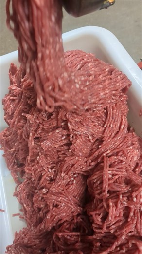 Ground chuck! | Sinai Locker Service