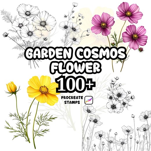 Procreate Flower Brushes, 100  Garden Cosmos Flower Procreate Stamps, Floral Procreate, Botanical, Nature, Background, Wreath, Bouquet - Etsy