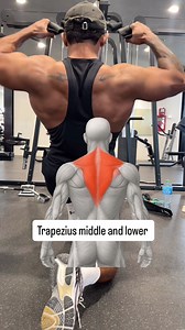 12K views · 292 reactions | Face Pull – Standing vs Half Kneeling...