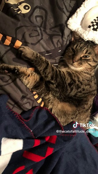 Batman Twerking Meme Compilation