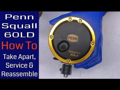 Penn Squall 60LD Fishing Reel - How to take apart, service and reassemble