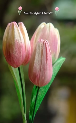 DIY crepe paper tulip #diycraft #paperflower #diydecor #diydecor #foryou #trending #diy #artcraft #craftmagic #diyflowermaking