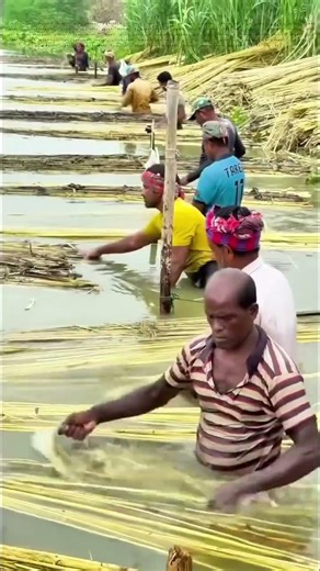 Unravel the History of Hemp Rope: A Journey Through Time
