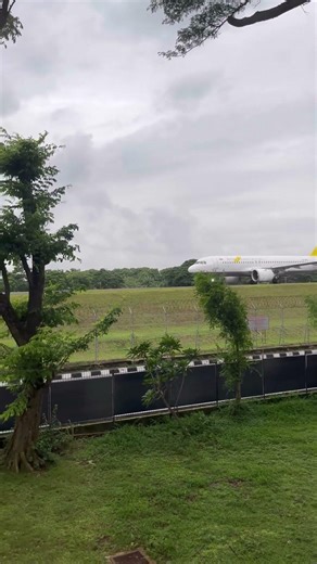 I saw yellow aeroplane, in my garden #railtrack #railwaycontent #railwaycontent #trainspotting