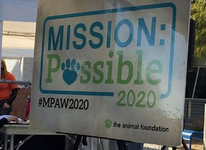 Animal Foundation strives to become a no-kill shelter by 2020