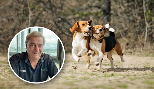 Hunt neighbour sick of hounds howling at 2am