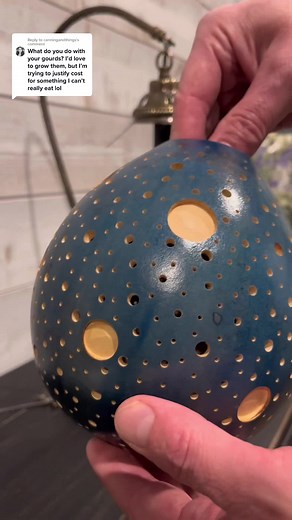 Illuminate Your Space with a Unique Gourd Luminary