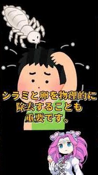 シラミの生態と効果的な駆除方法 #虫 #シラミ #害虫 #四国めたん #Shorts