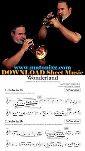 🧙🧚‍♀️✨ 📥 FULL VIDEO & SHEET MUSIC - https://www.matonizz.com/product/otoole-wonderland/ 📯 JP INSTRUMENT BUNDLES - https://www.matonizz.com/shop/?jsf=epro-products:zz&tax=product_cat:158 👨‍🎓 ONLINE LESSONS - drflessons@gmail.com #cornet #flugelhorn #trumpet #sheetmusic #classicalmusic #aliceinborderland | Matonizz