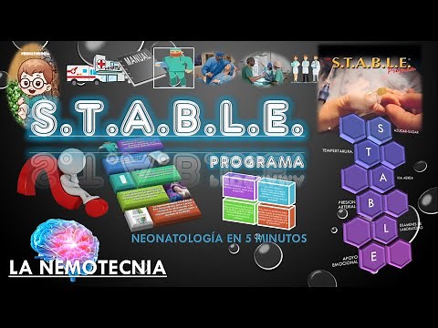 S.T.A.B.L.E. NEONATAL. Neonatal STABLE Program. - CHAPTER 1. INTRODUCTION.