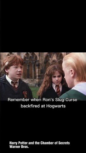 Remember the place where Ron's eat slugs curse backfired at Hogwarts Courtyard