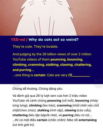 Day 18 - Tại sao loài mèo lại hành động kỳ lạ đến thế? .... Được enabled (hỗ trợ/kích hoạt khả năng) bởi cấu trúc muscular (cơ bắp) độc đáo và khả năng giữ thăng bằng keen (sắc bén/nhạy bén), loài mèo leo lên các vantage points (điểm cao thuận lợi) để survey (quan sát/khảo sát) lãnh thổ và và spot prey (phát hiện con mồi) trong tự nhiên. Ngày nay, Gizmo không cần những kỹ năng cụ thể này để tìm và săn bữa tối trong bát thức ăn của mình. Nhưng việc instinctually (theo bản năng) quan sát phòng khá