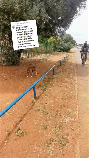 Apbt_ceasar (@apbt_ceasar) - How to Train Your American Pit Bull Terrier Effectively