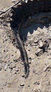 Merry Crocmas, Legends. Big love from me and old Stumpy.. how bloody cool! 🎄🐊 | Wildman Adventures