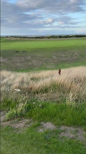 Hole 1 Spey Bay--Moray Firth, Scotland
