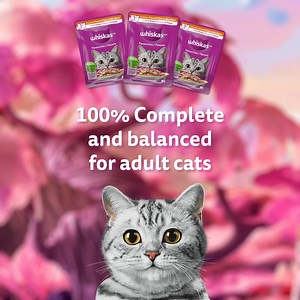 NEW WHISKAS® Wet Cat Food Pouch - Shake, Tear, Pour! 100% complete and balanced for adult cats | WHISKAS Canada