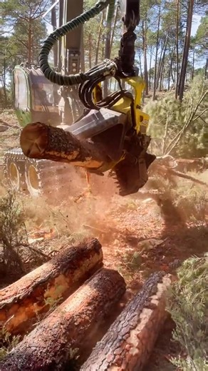 LumberJack @CarolRobin #design #woodwork #art #wood #handmade | Carol Robin