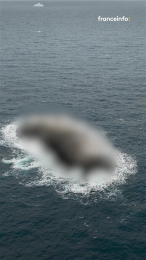🏝️ En voulant se réfugier d’une tempête, des scientifiques de l’Institut Alfred Wegener ont découvert début février une île encore inconnue au large de l’Antarctique. S’il est étonnant que des terres émergées n’aient pas encore été recensées, l’absence sur les cartes de cette île peut s’expliquer par le fait qu’elle ait été confondue avec un iceberg. Une fois qu’elle sera officiellement nommée, sa position exacte sera révélée. #franceinfoRF #sciences #decouverte #environnement #Antarctique