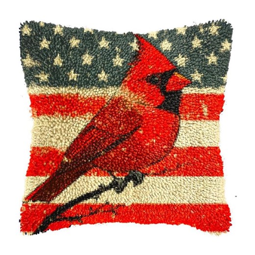 DIY Latch Hook Pillow Kit: Cardinal Bird and American Flag Design - Etsy