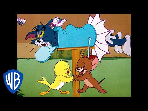 Tom & Jerry | B-b-b-birds! | Classic Cartoon Compilation | WB Kids