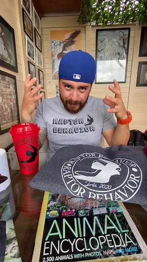 Understanding Raptor Behavior in Nature