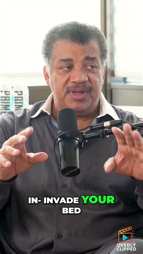 Ancient Demons: Incubus & Succubus Explained! #shorts