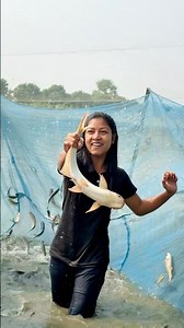 পাঙ্গাস মাছ ধরলাম 😁 #viral #funny #village #comedy #shorts #explore #viral #video